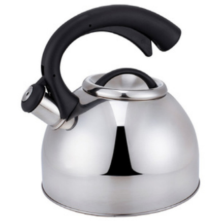 Bouilloire inox WTK054 3 L