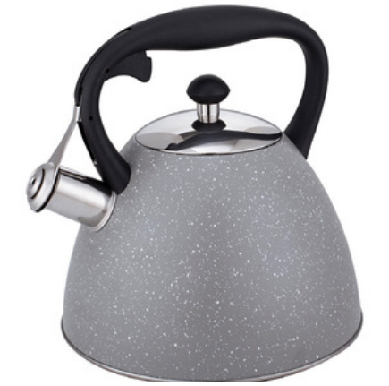 Bouilloire inox WTK286BNW 3 L