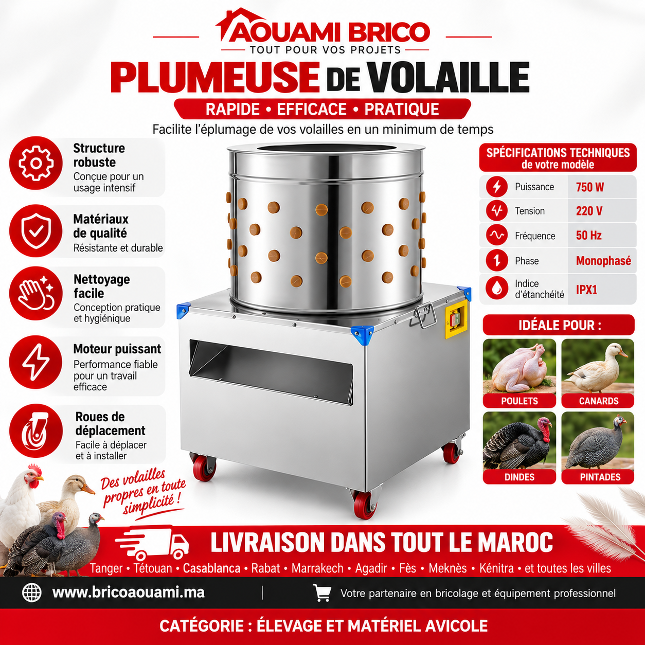 Plumeuse à Poulet Professionnelle Inox – 6 Volailles