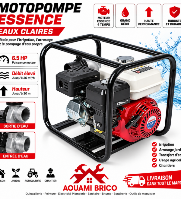 Motopompe Essence GPX168 2 Pouces – 6,5 CV