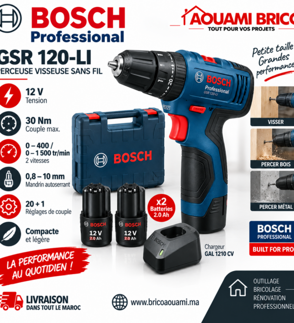 Perceuse-Visseuse Sans Fil Bosch Professional GSR 120-LI 12V