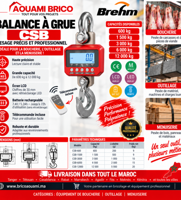 Crochet Peseur Électronique CSB – 600 kg à 12 000 kg